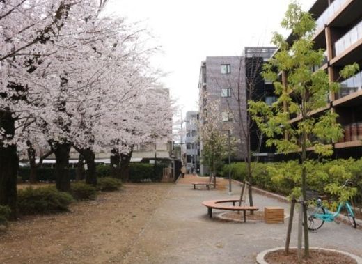 シティハウス吉祥寺北町 物件写真 建物写真12