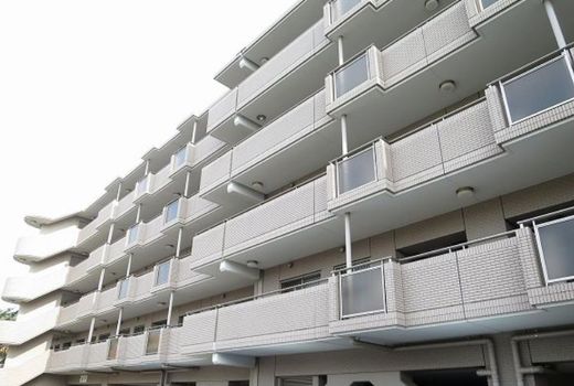 レシオン武蔵小杉 物件写真 建物写真4