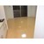 コンフォリア町屋 物件写真 建物写真6