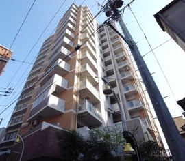 ライオンズステーションプラザ金町 物件写真 建物写真3