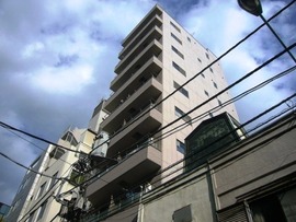 ブレコンプラザ銀座 物件写真 建物写真1