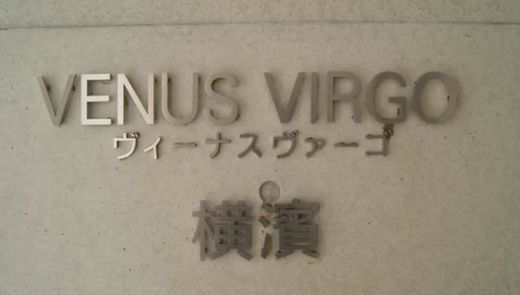 ヴィーナスヴァーゴ横濱 物件写真 建物写真11
