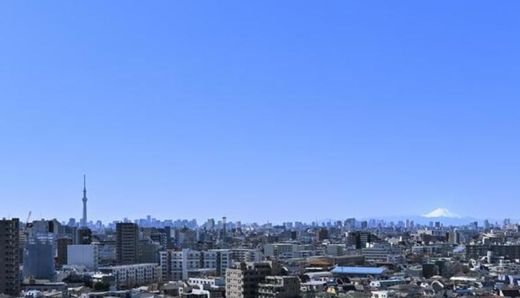 プラウドタワー金町 物件写真 建物写真24
