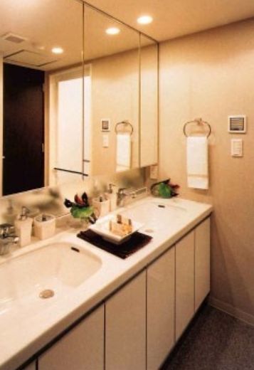 ラゾーナ川崎レジデンス 物件写真 建物写真23