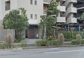 ザ・サウスキャナルレジデンス 写真