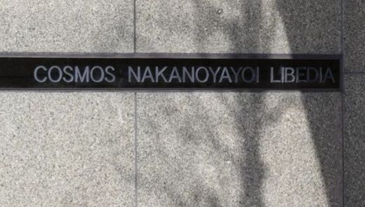 コスモ中野弥生リベディア 物件写真 建物写真8