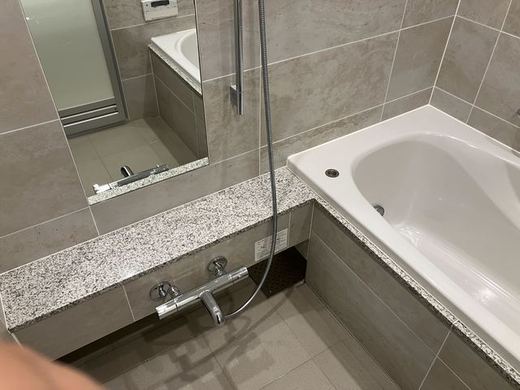 NK青山ホームズ 物件写真 建物写真19