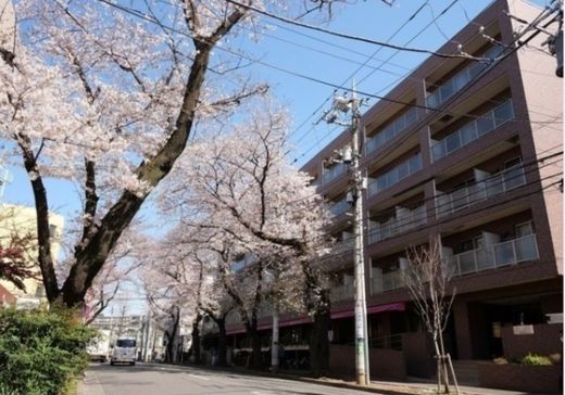 コンフォリアたまプラーザ 物件写真 建物写真1