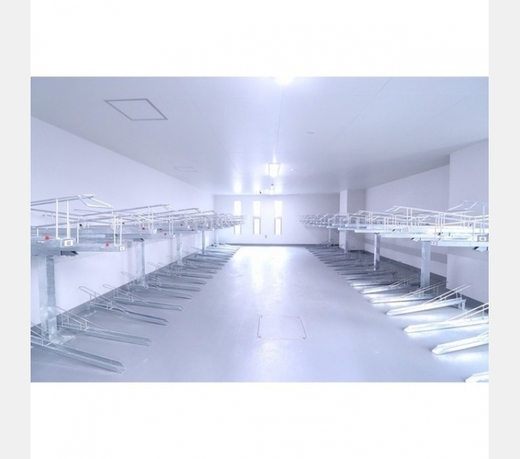 NSセントラルハイムⅡ 物件写真 建物写真26