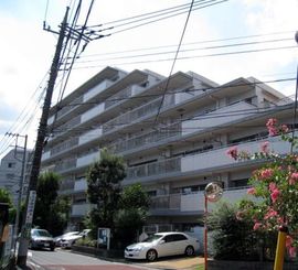パークハウス溝の口ガーデンコート 物件写真 建物写真4