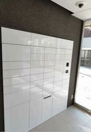 ドミールDuo自由が丘 物件写真 建物写真4