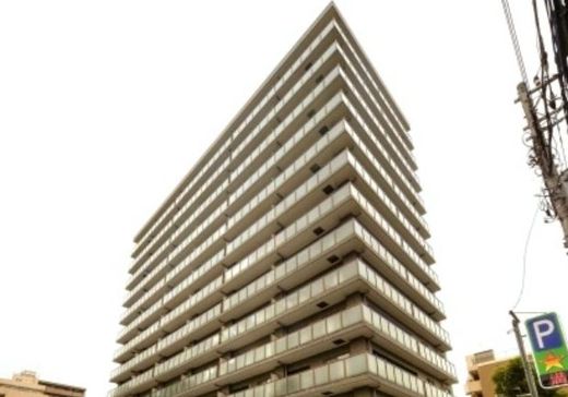 川崎パークホームズ 物件写真 建物写真3