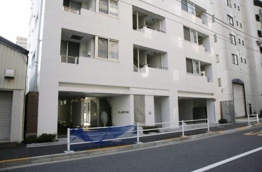 CELESTINO (チェレスティーノ) 物件写真 建物写真5