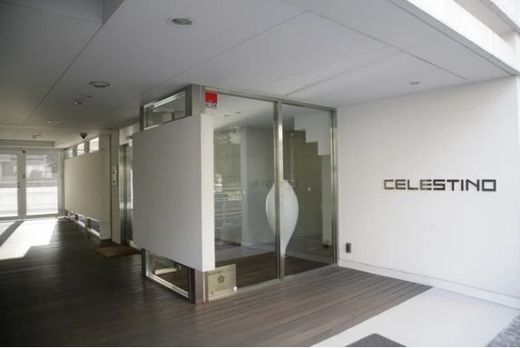 CELESTINO (チェレスティーノ) 物件写真 建物写真8