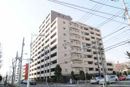 D'グラフォート西台 物件写真 建物写真5