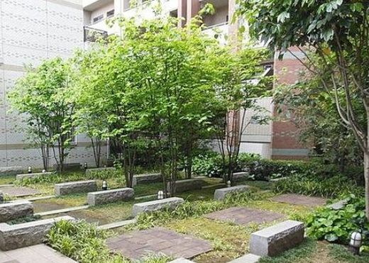 ディアパークスコンフォートスクエア 物件写真 建物写真14