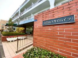 南青山スカイハイツ 物件写真 建物写真3