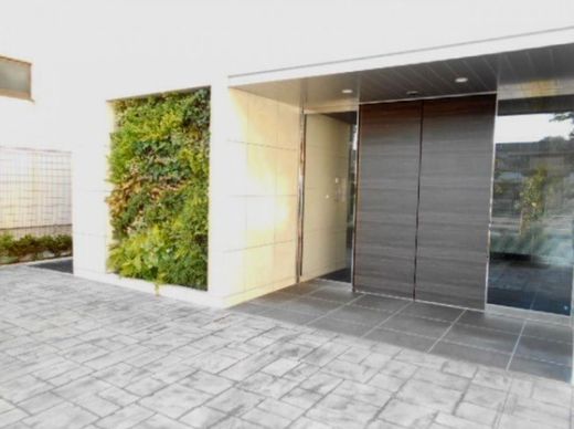 ジェノヴィア田端2グリーンヴェール 物件写真 建物写真12