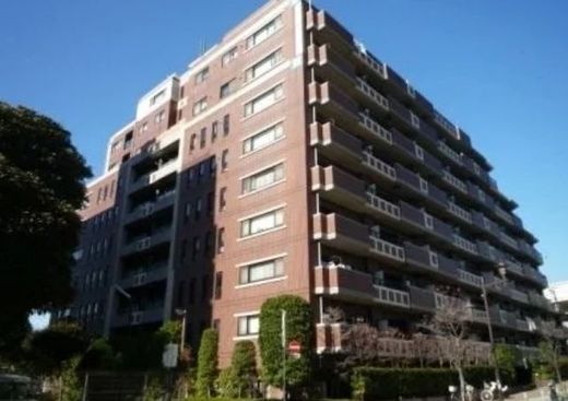 サンクタス大島EX 写真