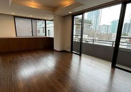 ヒルトップ南麻布 物件写真 建物写真6