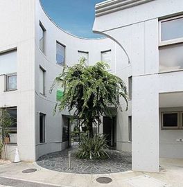 クリサンテ 写真