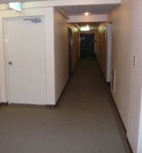 桔梗ライオンズマンション平河町 物件写真 建物写真14
