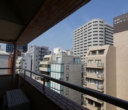 桔梗ライオンズマンション平河町 物件写真 建物写真20