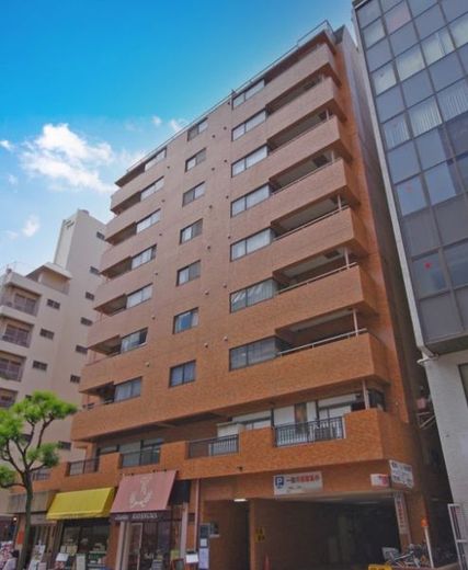 桔梗ライオンズマンション平河町 物件写真 建物写真3