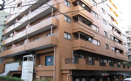 桔梗ライオンズマンション平河町 物件写真 建物写真4