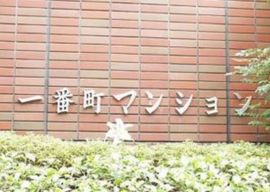一番町マンション 物件写真 建物写真5