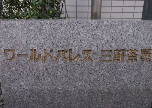 ワールドパレス三軒茶屋 物件写真 建物写真5