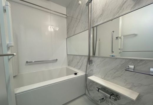 アイルプレミアム錦糸町 物件写真 建物写真12