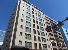 プラウド横濱関内 物件写真 建物写真5