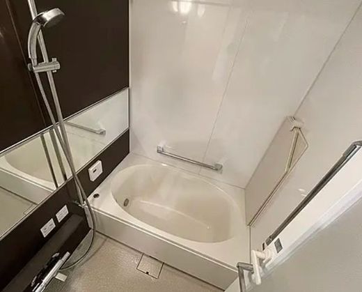 ラフィーネ深沢サクラテラス 物件写真 建物写真10