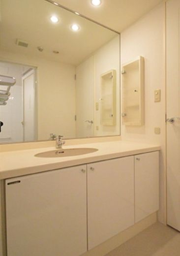 ラナイタウンルネッサンス ハイライズアネックス 物件写真 建物写真13