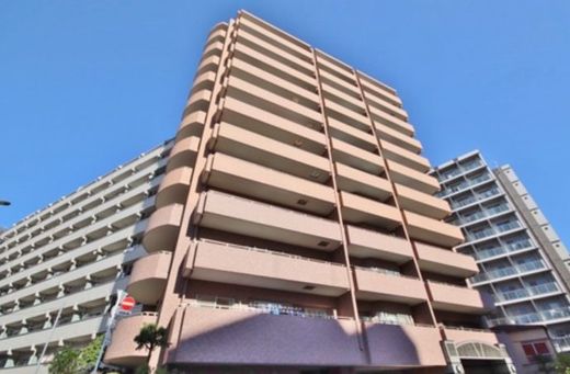 ドルフ新大橋リバーサイド 物件写真 建物写真2
