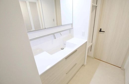 ドルフ新大橋リバーサイド 物件写真 建物写真22
