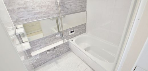ドルフ新大橋リバーサイド 物件写真 建物写真24