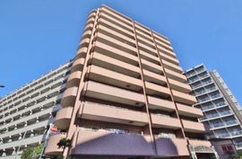 ドルフ新大橋リバーサイド 物件写真 建物写真2