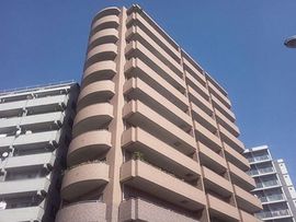 ドルフ新大橋リバーサイド 物件写真 建物写真3