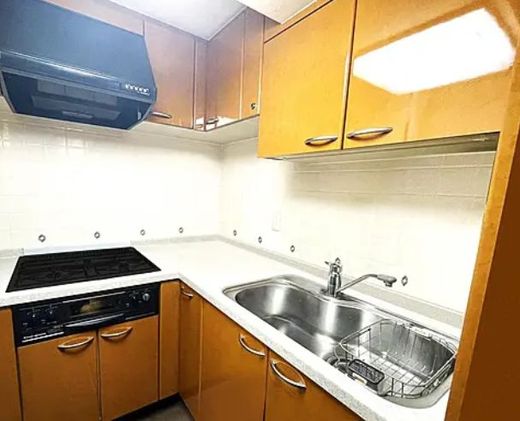 パロス新富町 物件写真 建物写真8