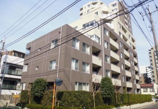 ライオンズプラザ武蔵関リュイール 物件写真 建物写真6