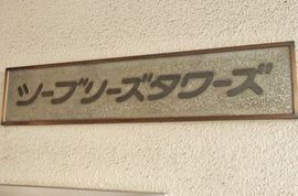 シーブリーズタワーズ 物件写真 建物写真5