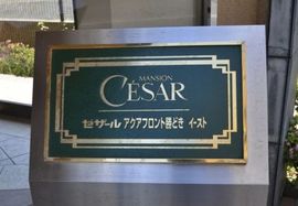 セザールアクアフロント勝どきイースト 物件写真 建物写真4
