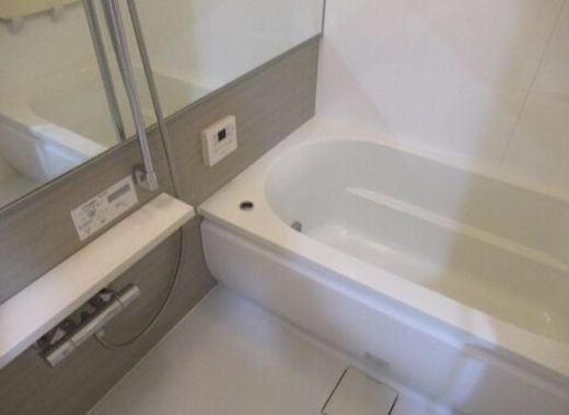 シティハウス多摩川テラス 物件写真 建物写真16