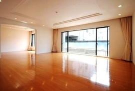 ファミグリア西麻布 物件写真 建物写真11