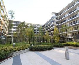 シティテラス横濱綱島ガーデンズ 物件写真 建物写真6