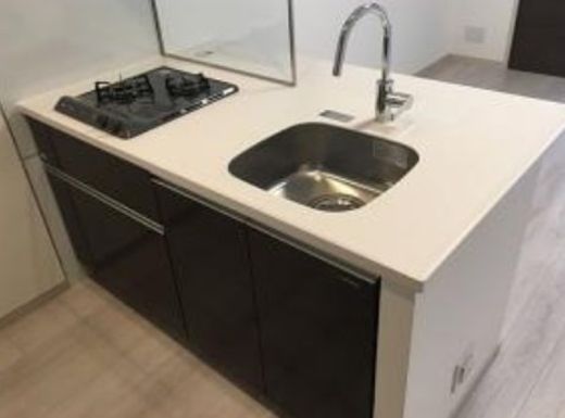 パレステージ新小岩ファストコート 物件写真 建物写真11