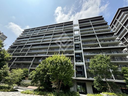 HARUMI FLAG SUN VILLAGE (晴海フラッグ サンヴィレッジ) 外観 物件画像3