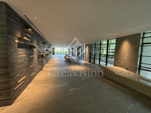 HARUMI FLAG SUN VILLAGE (晴海フラッグ サンヴィレッジ) 共用部 物件画像3